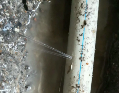 随州市测漏水哪家好