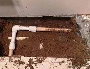 随州市测漏水哪家好