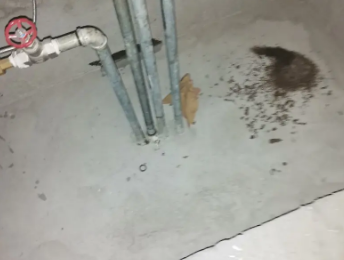 随州市卫生间测漏水价格明细