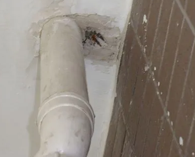 随州市漏水检测哪家好